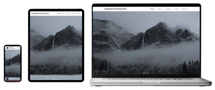 Dr. Ed Freniere Website Mockup